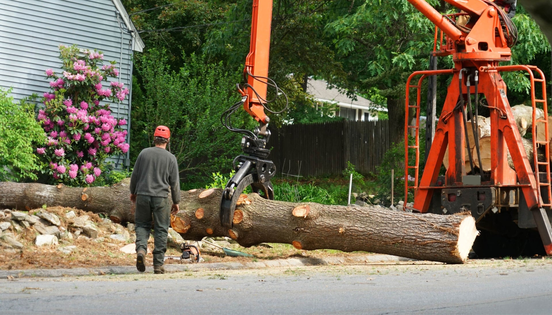 Local partner for Tree removal services in Las Vegas